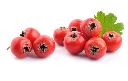 Το Pulsactive περιέχει λάδι κράταιγου